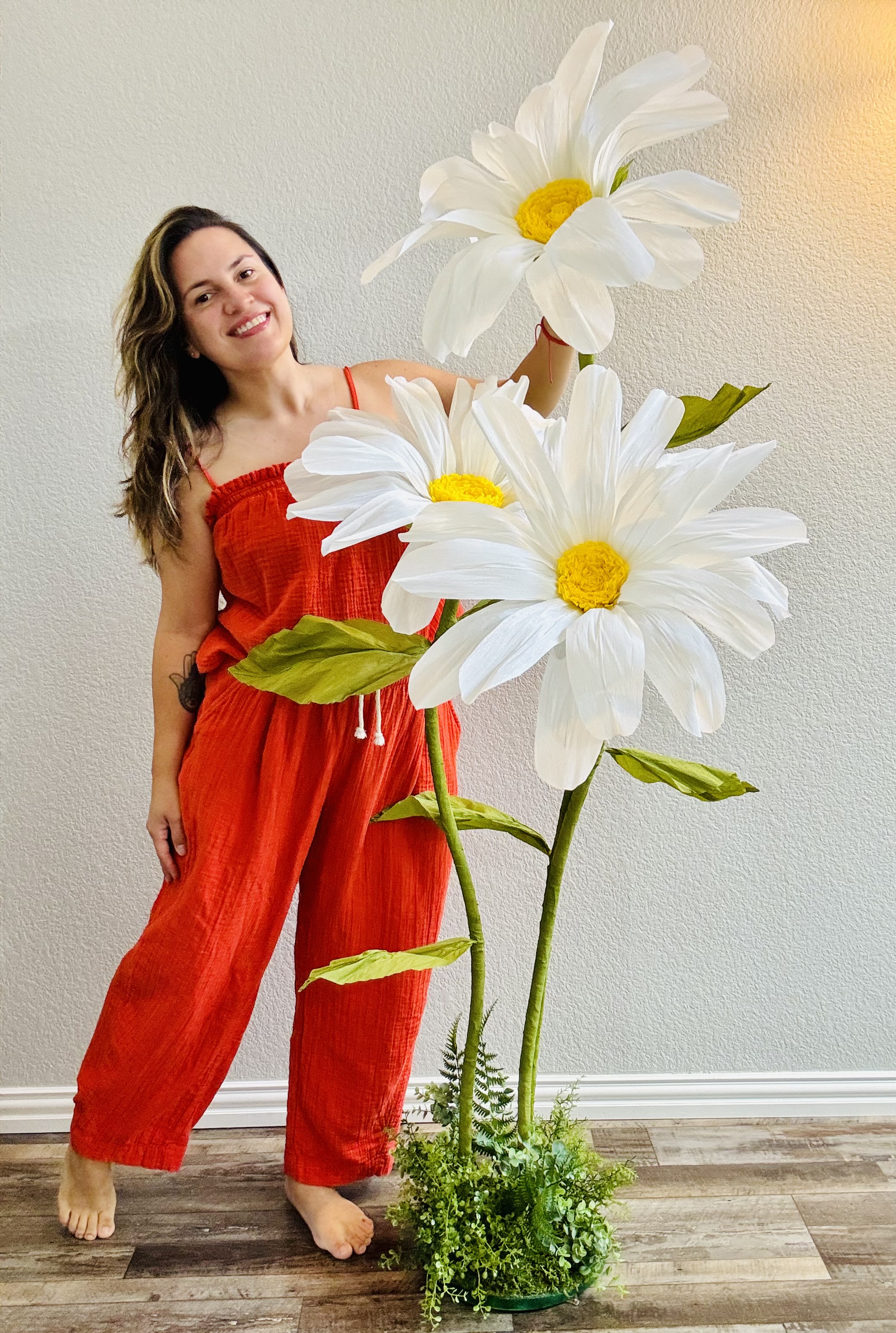 Giant paper daisies