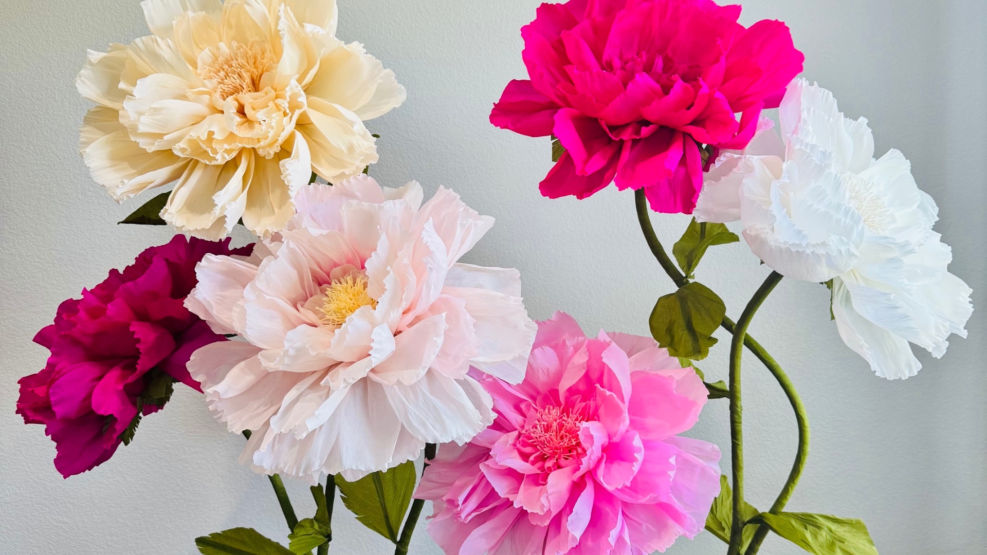 Valeria Blooms giant paper flowers