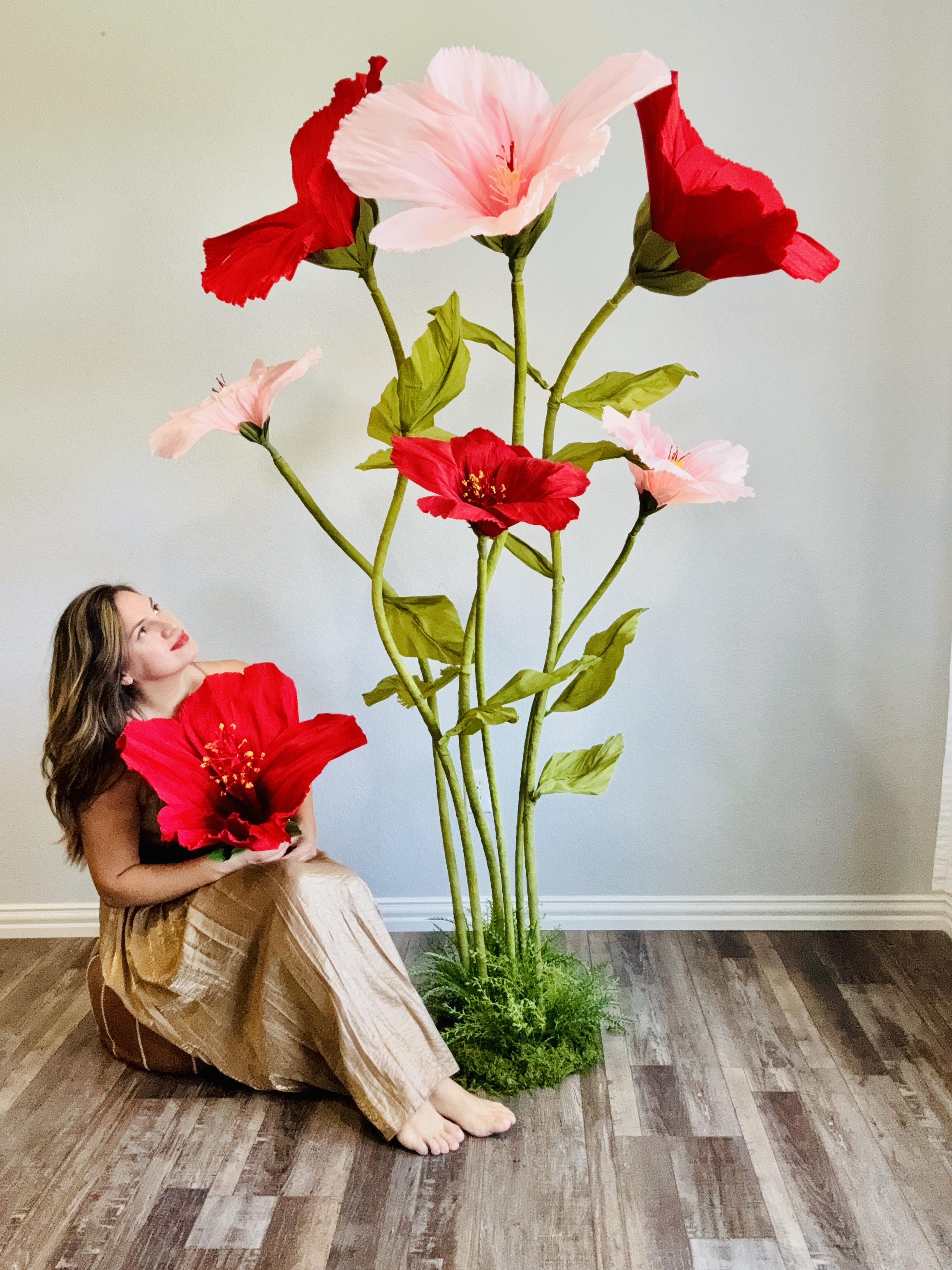 Giant paper hibiscus