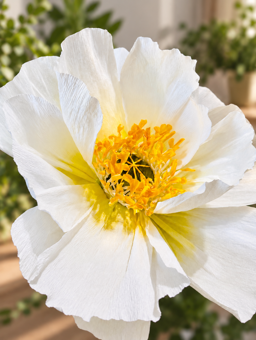 Flower detail