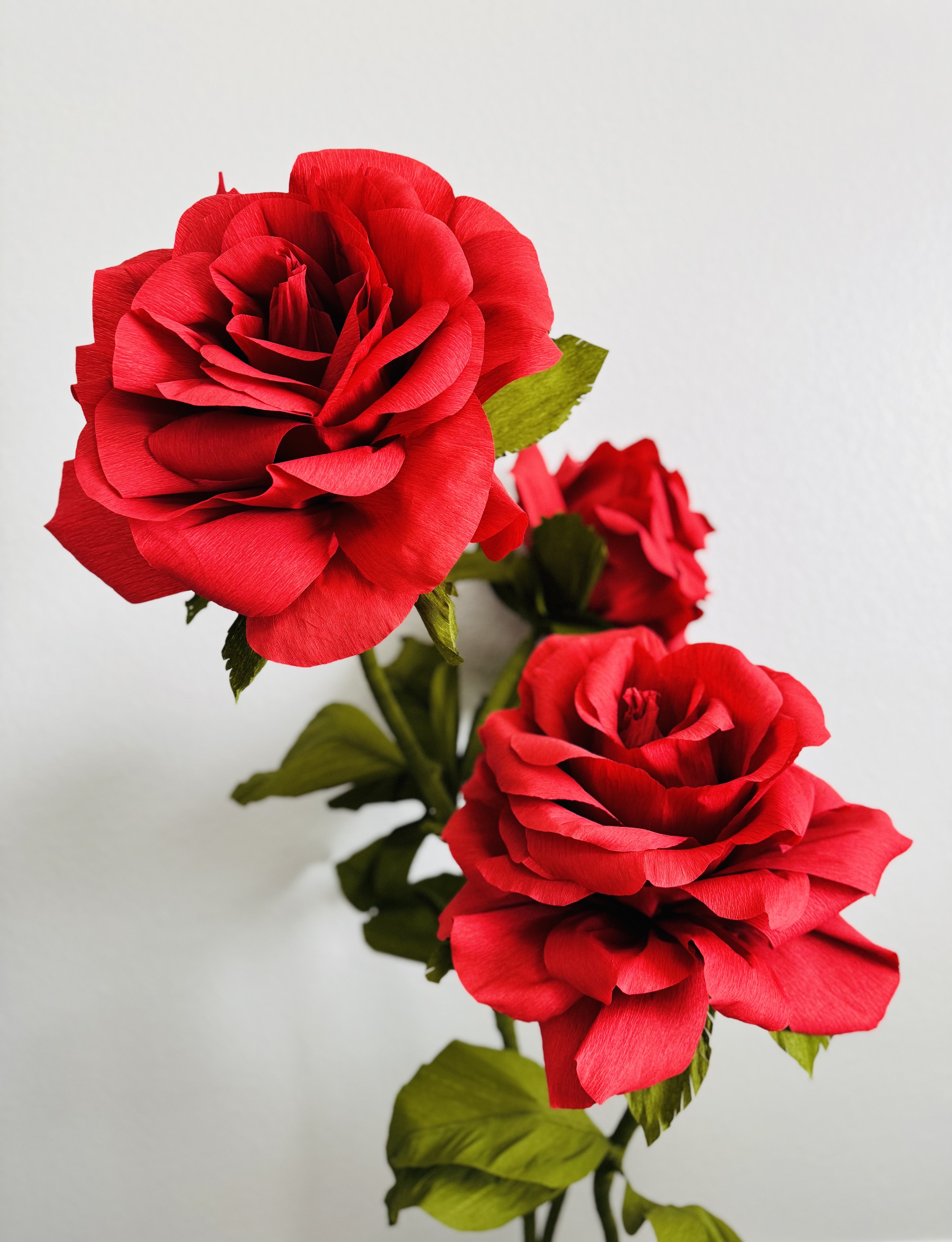 Giant paper roses
