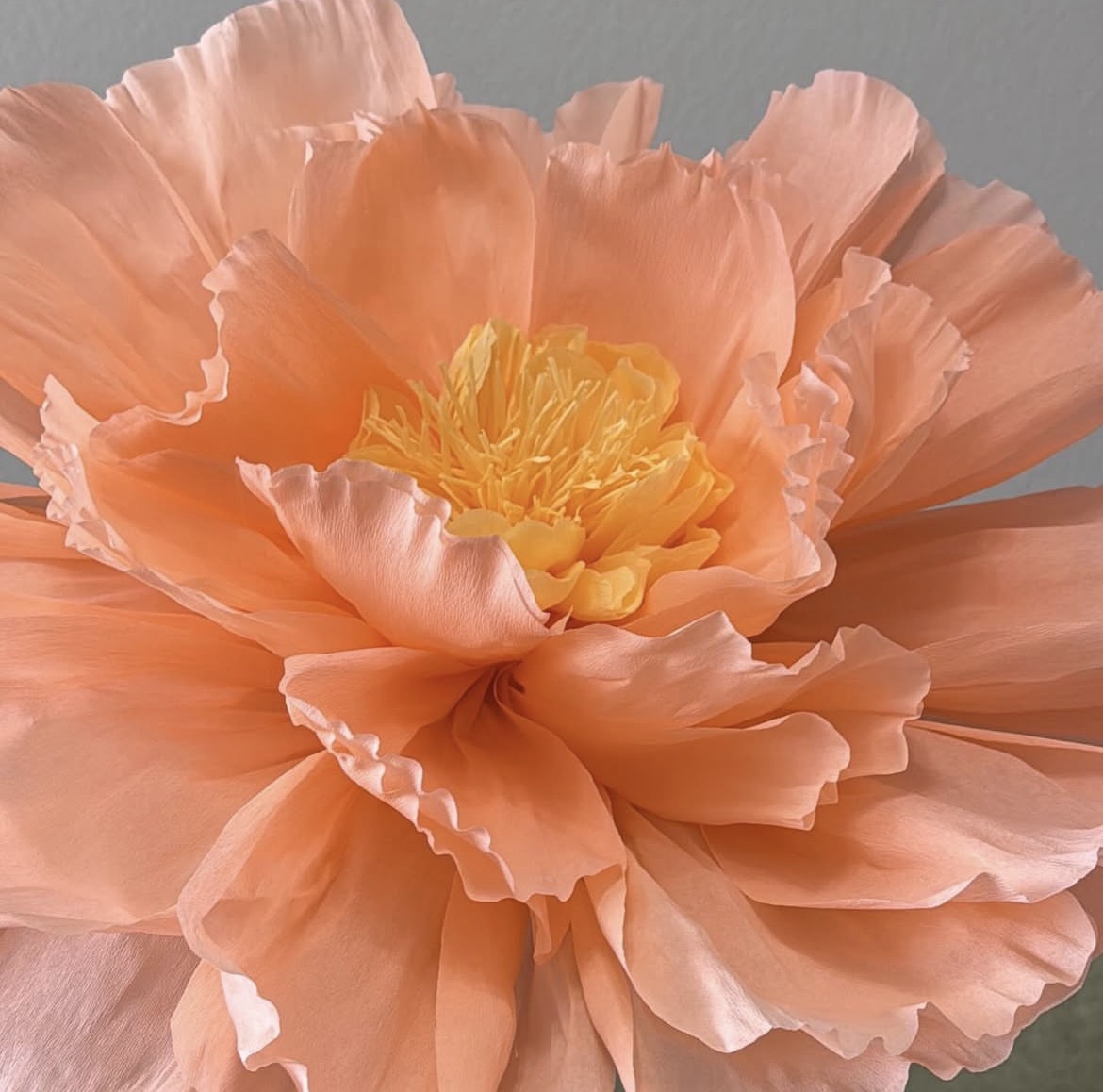 Giant paper flower by Valeria Blooms